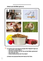 Vorschau - Arbeitsblätter - Tierethik: Haustiere und Verantwortung (Rollenspiel, AB) - Seite 1