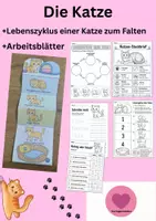 Vorschau - Arbeitsblätter - Katze Lebenszyklus - Interaktives Faltbuch & Arbeitsblätter - Deckblatt