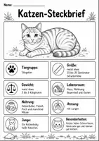 Vorschau - Arbeitsblätter - Katze Lebenszyklus - Interaktives Faltbuch & Arbeitsblätter - Seite 1