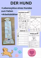 Vorschau - Arbeitsblätter - Hund Lebenszyklus - Interaktives Faltbuch & Arbeitsblätter - Deckblatt