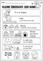 Vorschau - Arbeitsblätter - Hund Lebenszyklus - Interaktives Faltbuch & Arbeitsblätter - Seite 1