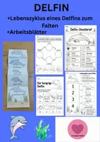 Vorschau - Mal- und Bastelvorlagen - Delfin Lebenszyklus - Interaktives Faltbuch & Steckbrief - Deckblatt