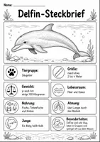 Vorschau - Mal- und Bastelvorlagen - Delfin Lebenszyklus - Interaktives Faltbuch & Steckbrief - Seite 1