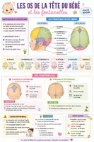 Aperçu - Apprentissages en autonomie - Fiches révision CAP AEPE Dévelop. de l'enfant Neurosciences - Page 3