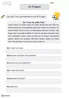 Vorschau - Arbeitsblätter - Lesen Klasse 2 (differenziert) Fußball: WM-Version - Seite 2