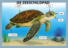 Voorbeeld - 1 - Pagina 2