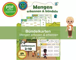 Vorschau - Fördermaterial/Inklusion - Mengen erkennen & Mengen bündeln – Lernkarten Zahlenraum 10 - Seite 1