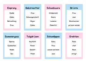 Vorschau - Spiele - Ratequiz zur Thematik Sexualpäadagogik/Pubertät - Seite 1