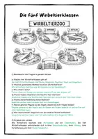Vorschau - Stundenentwürfe - Die fünf Wirbeltierklassen - Wirbeltiere im Überblick - Der Wirbeltierzoo - Seite 3