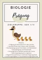 Vorschau - Arbeitsblätter - Prägung – Nachlaufprägung, Sexualprägung, Ortsprägung und Nahrungsprägung - Deckblatt