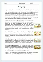 Vorschau - Arbeitsblätter - Prägung – Nachlaufprägung, Sexualprägung, Ortsprägung und Nahrungsprägung - Seite 1