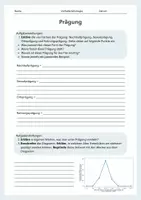 Vorschau - Arbeitsblätter - Prägung – Nachlaufprägung, Sexualprägung, Ortsprägung und Nahrungsprägung - Seite 2