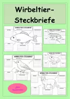 Vorschau - Stundenentwürfe - Wirbeltier-Steckbriefe - Gruppenarbeit zu den fünf Wirbeltierklassen - Steckbriefvorlagen - Deckblatt
