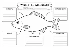 Vorschau - Stundenentwürfe - Wirbeltier-Steckbriefe - Gruppenarbeit zu den fünf Wirbeltierklassen - Steckbriefvorlagen - Seite 1