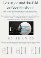 Vorschau - Präsentationen/Tafelbilder - Das Auge und das Bild auf der Netzhaut - Merkblatt + Präsentation + Quiz! - Deckblatt
