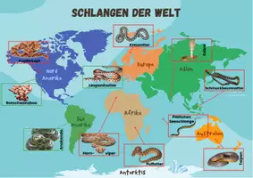 Vorschau - Poster - Plakat einige Schlangen und wo sie zu finden sind - Deckblatt