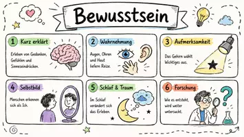 Vorschau - Arbeitsblätter - AB mit Fragen zum Thema "Bewusstsein" + Lösungsblatt + Infografik - Seite 1