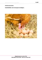 Vorschau - Arbeitsblätter - Ei oder Huhn - Arbeitsblätter mit Lösungen - Seite 1