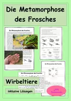 Vorschau - Stundenentwürfe - Die Metamorphose des Frosches - Fortpflanzung der Wirbeltiere - Deckblatt