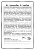 Vorschau - Stundenentwürfe - Die Metamorphose des Frosches - Fortpflanzung der Wirbeltiere - Seite 1
