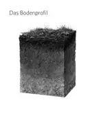 Vorschau - Arbeitsblätter - Boden - Material und Unterricht - Seite 3