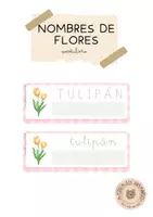 Vista previa - Refuerzo / NEE / Materiales de apoyo - Nombres de flores - Vocabulario - Portada