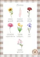 Vista previa - Refuerzo / NEE / Materiales de apoyo - Nombres de flores - Vocabulario - página 1