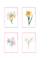Vista previa - Refuerzo / NEE / Materiales de apoyo - Tarjetas de flores (flashcards) - página 1
