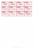Vorschau - Spiele - Oberbegriffe & Unterbegriffe | Kartenspiel Wortschatztraining | DaF/DaZ & Grundschule bis Sek I - Seite 3