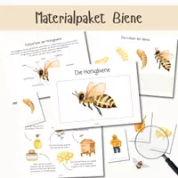 Vorschau - Stationenlernen - Materialpaket Honigbiene | Biene Arbeitsblätter Lernkarten Sachtexte Ausmalbild | Sachunterricht - Deckblatt