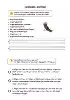 Vorschau - Arbeitsblätter - Sachtext Verstehen - Leseverständnis - Tierklasse Vögel differenziert - Seite 3