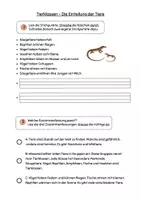 Vorschau - Arbeitsblätter - Sachtext Verstehen - Leseverständnis - Tierklassen differenziert FREEBIE - Seite 3