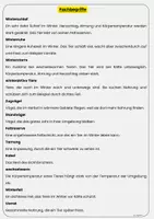 Vorschau - Arbeitsblätter - Tiere im Winter Fachbegriffe, Tabellen, Sachtexte, Winterschlaf, Winterruhe, Winterstarre, Winterfell und Tarnung Übungen mit Lösungen Klasse 3 & Klasse 4 - Seite 3