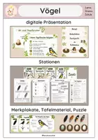 Vorschau - Stundenentwürfe - Vögel - Materialpaket heimische Vögel - Seite 1