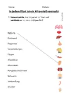 Vorschau - Arbeitsblätter - Wort im Wort - Körper - Körperteile - Freiarbeit - Seite 2