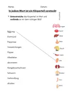 Vorschau - Arbeitsblätter - Wort im Wort - Körper - Körperteile - Freiarbeit - Seite 3