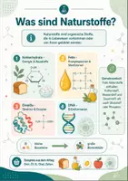 Vorschau - Arbeitsblätter - Naturstoffe in der organischen Chemie – Kohlenhydrate, Fette, Eiweiße und DNA - Seite 2