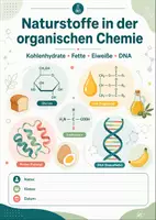 Vorschau - Arbeitsblätter - Naturstoffe in der organischen Chemie – Kohlenhydrate, Fette, Eiweiße und DNA - Deckblatt