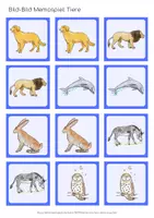 Vorschau - Stationenlernen - Bild - Bild Memospiel Tiere #silvesterknaller25 - Seite 3