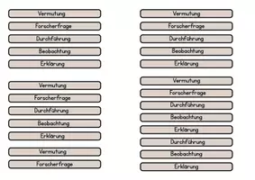 Vorschau - Interaktives Material - Forscherweg Holzstäbchen für die Marktplatzphase - Seite 1