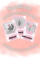 Vorschau - Präsentationen/Tafelbilder - Sexualkunde: Bildkarten weibliche Geschlechtsorgane - Deckblatt