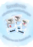 Vorschau - Präsentationen/Tafelbilder - Sexualkunde: Bildkarten männliche Geschlechtsorgane - Deckblatt