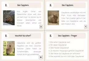 Vorschau - Aufgabenkarten - Materialpaket Lesekärtchen - Tiere - Seite 3
