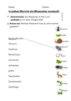 Vorschau - Arbeitsblätter - Wort im Wort - Wiesentiere finden - Freiarbeit - Seite 2