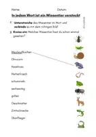 Vorschau - Arbeitsblätter - Wort im Wort - Wiesentiere finden - Freiarbeit - Seite 3