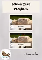 Vorschau - Aufgabenkarten - Lesekärtchen- Das Capybara (+Silbenschrift) - Deckblatt