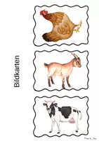 Vorschau - Bildkarten - Bauernhoftiere Bildkarten - Seite 1