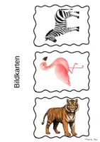 Vorschau - Bildkarten - Zootiere Bildkarten - Seite 2