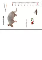 Vorschau - Bildkarten - Steckbriefe Südamerika - Deckblatt