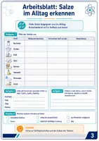 Vorschau - Arbeitsblätter - Salze – Ionen, Kristalle, Eigenschaften und Reaktionen sicher verstehen - Seite 3